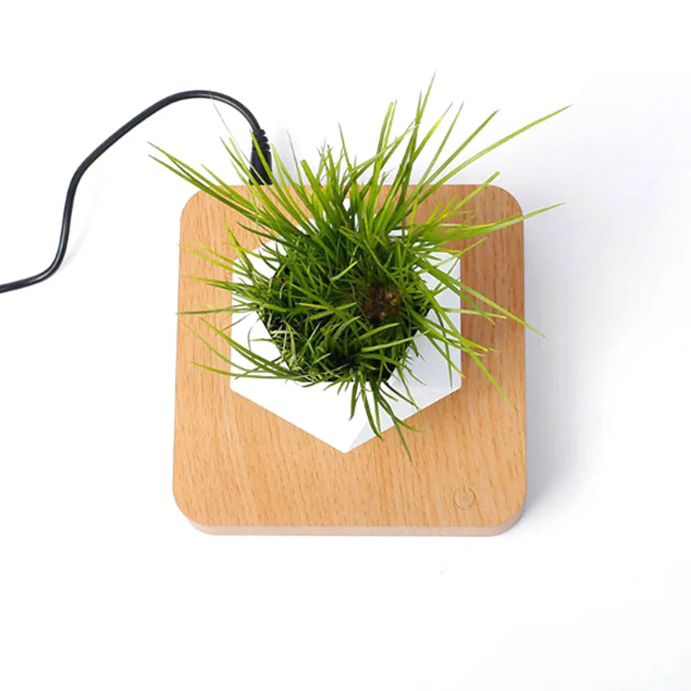Levitating Air Bonsai Pot planters Magnetic Suspension Floating Pot Potted Plant Home Without Plants