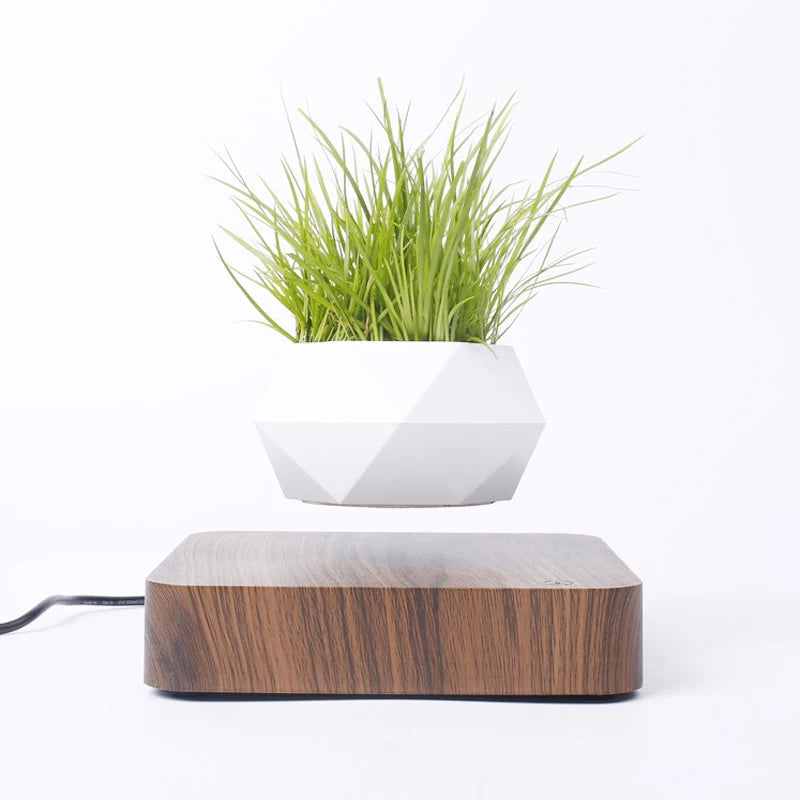 Levitating Air Bonsai Pot planters Magnetic Suspension Floating Pot Potted Plant Home Without Plants
