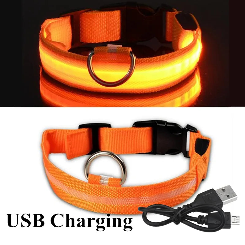 Adjustable Dog Night Light Collar for Pets - shoplunaa.co
