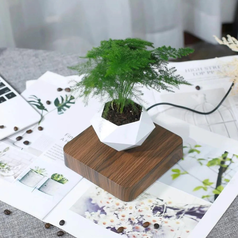 Levitating Air Bonsai Pot planters Magnetic Suspension Floating Pot Potted Plant Home Without Plants