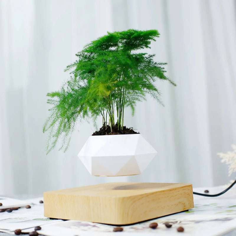 Levitating Air Bonsai Pot planters Magnetic Suspension Floating Pot Potted Plant Home Without Plants