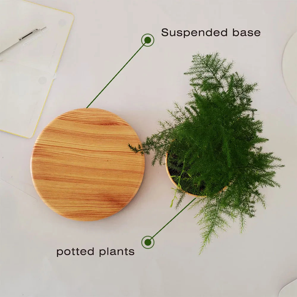 Levitating Air Bonsai Pot planters Magnetic Suspension Floating Pot Potted Plant Home Without Plants