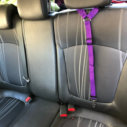 Pet Car Seat Leash Backseat Safety Belt Adjustable Dogs Harness Collar Pet Accessories