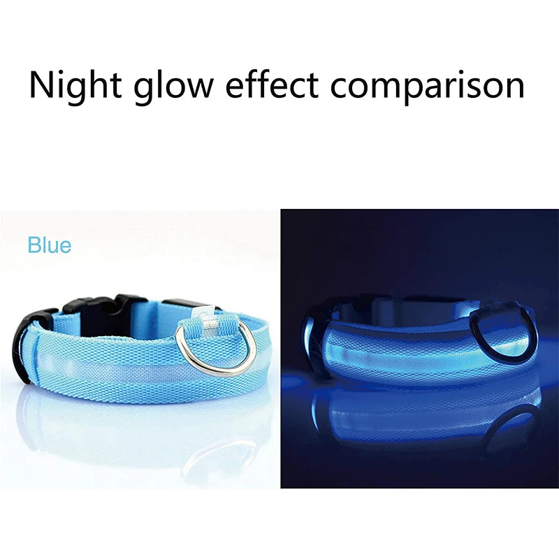 Adjustable Dog Night Light Collar for Pets - shoplunaa.co