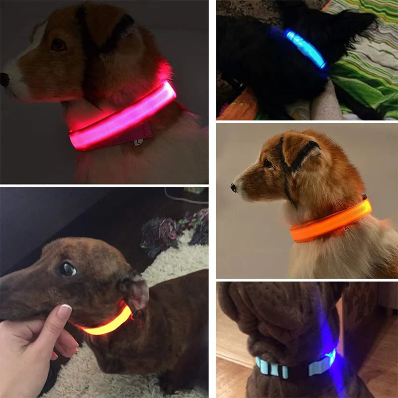 Adjustable Dog Night Light Collar for Pets - shoplunaa.co