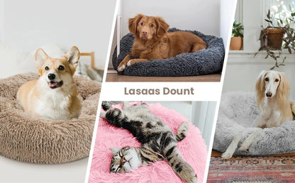 Round Pet Bed pets