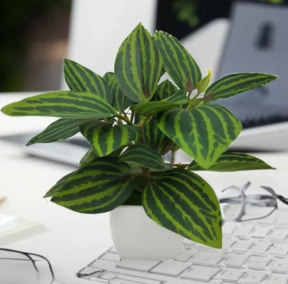 Artificial Plants Bonsai