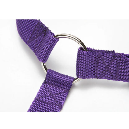 Pet Car Seat Leash Backseat Safety Belt Adjustable Dogs Harness Collar Pet Accessories