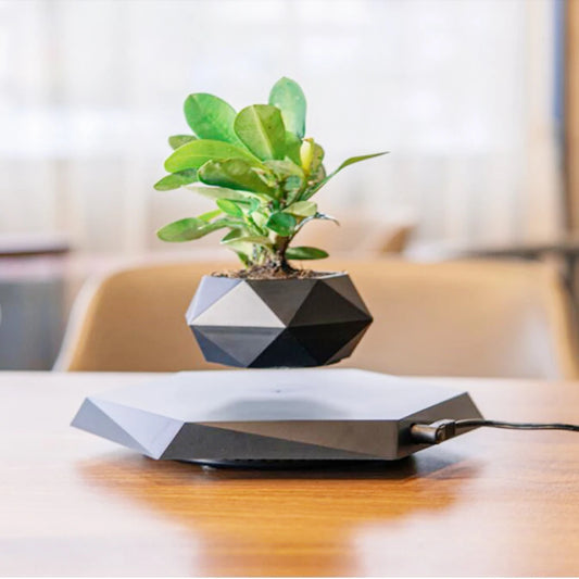 Levitating Air Bonsai Pot planters Magnetic Suspension Floating Pot Potted Plant Home Without Plants